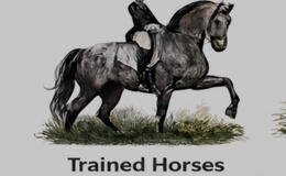 Trained Horses