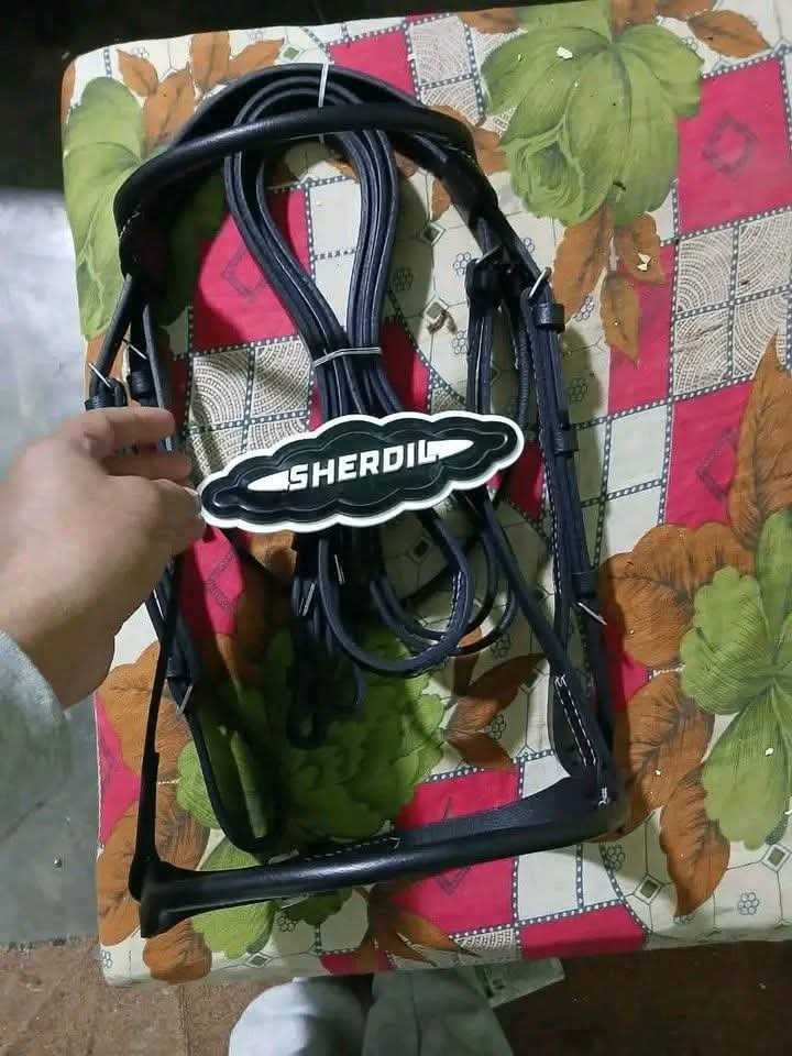 Sherdil Horse Bridle for Sale in Pakistan –