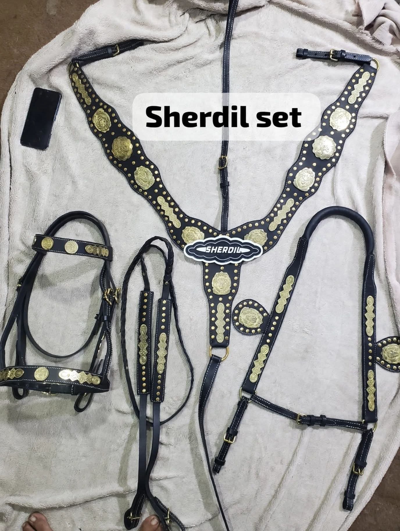 Sherdil Horse Tack Set for Sale in Pakistan