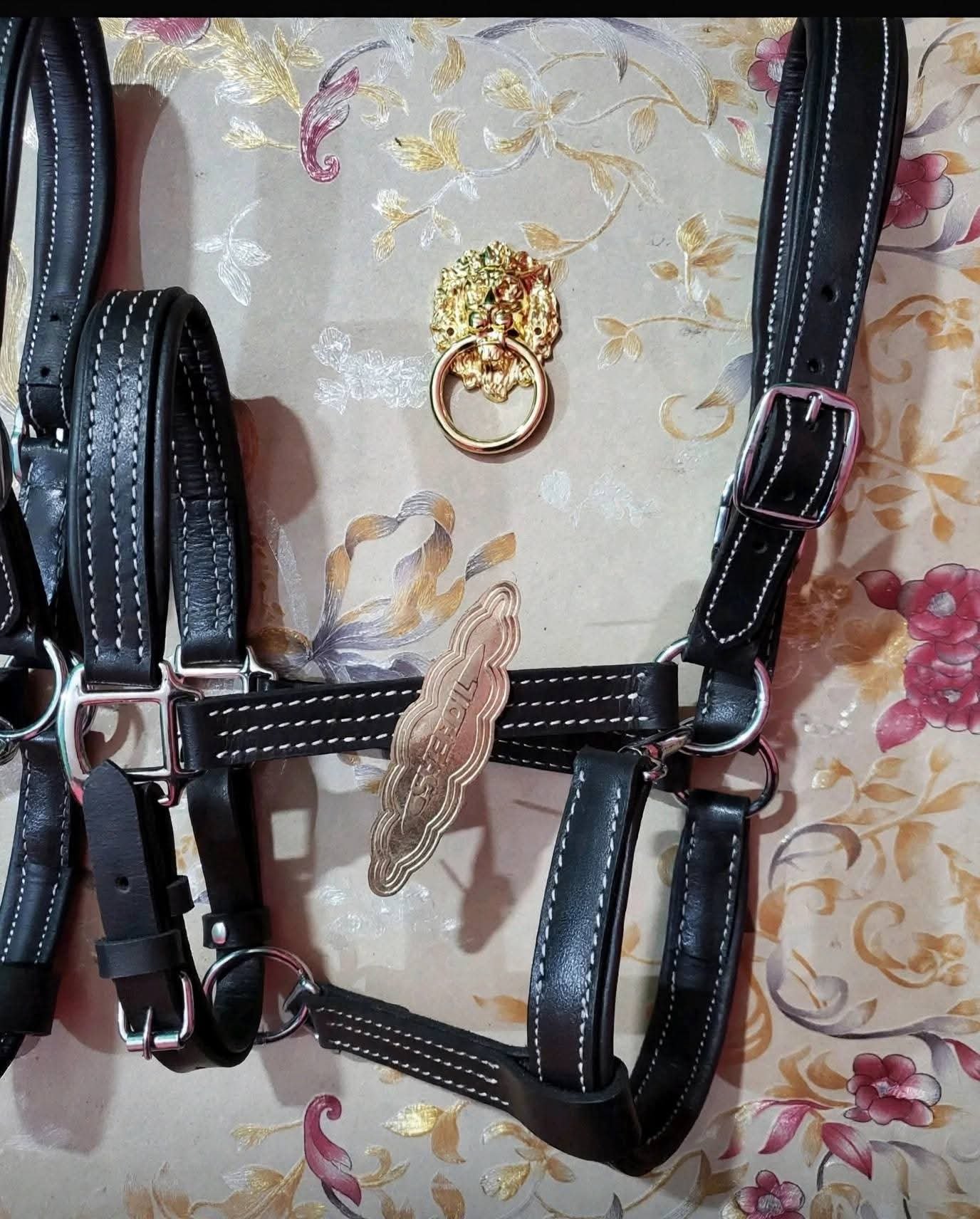 Horse Halter for Sale in Pakistan