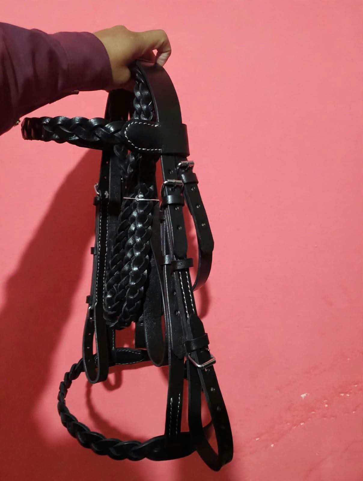 Sherdil Decorative Horse Harness for Sale in Pakistan