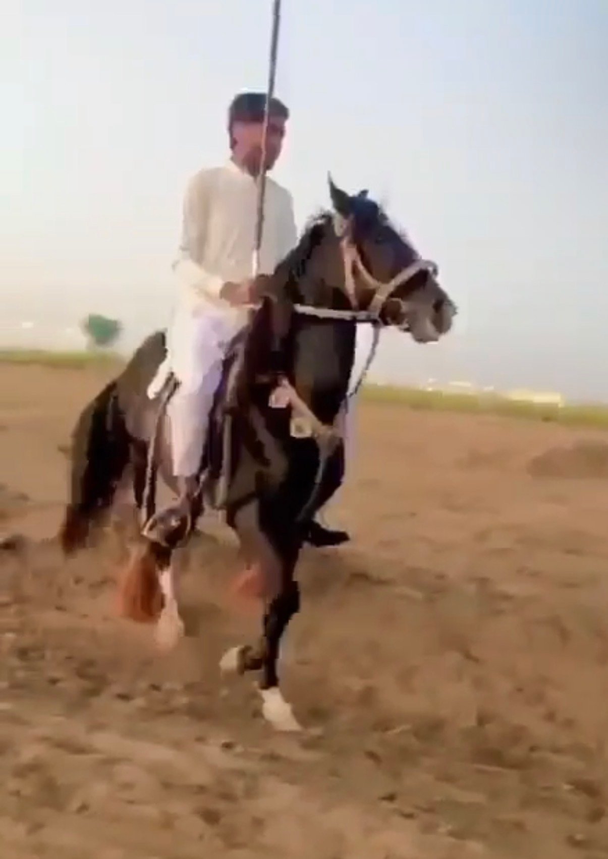 Nezabaaz Desi Black Stallion