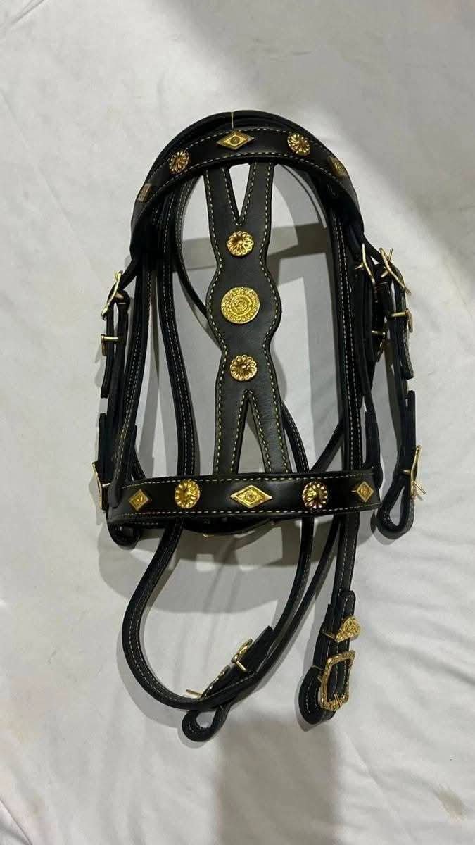 Sherdil Spanish Horse Tack Set for Sale in Pakistan